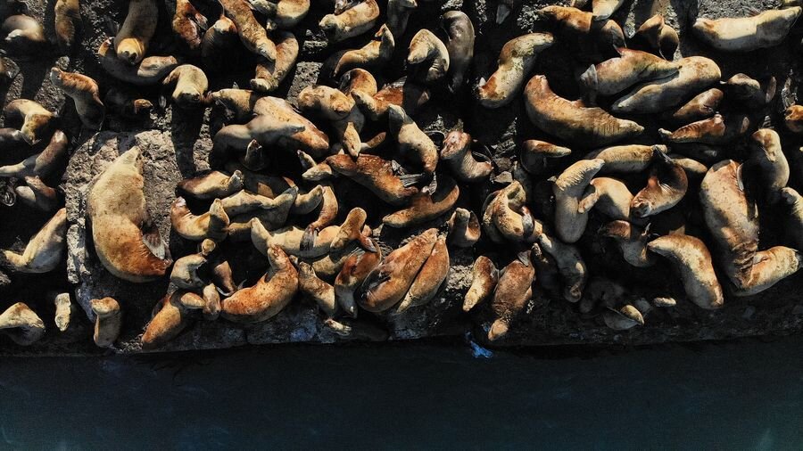 фото: Юлия Гуслякова