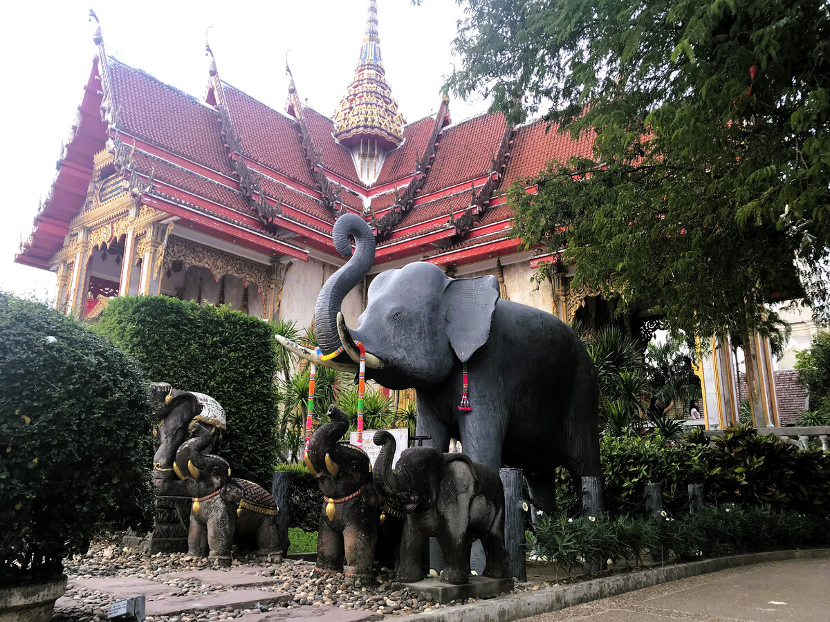 Памятник слоникам в храме Ват Чалонг на Пхукете