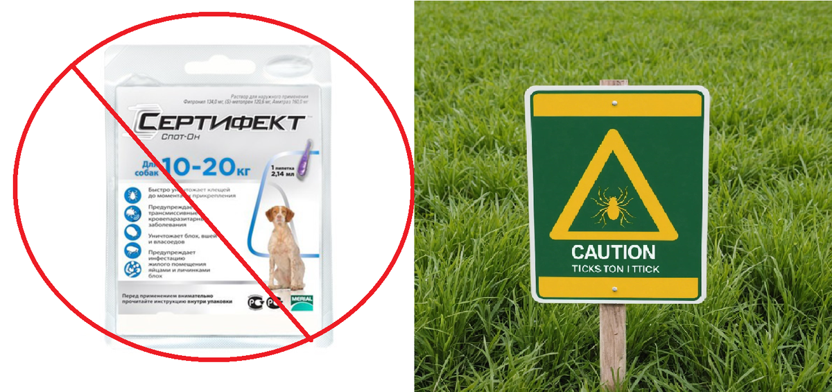 КАПЛИ ДЛЯ СОБАК СЕРТИФЕКТ СПОТ-ОН разбор