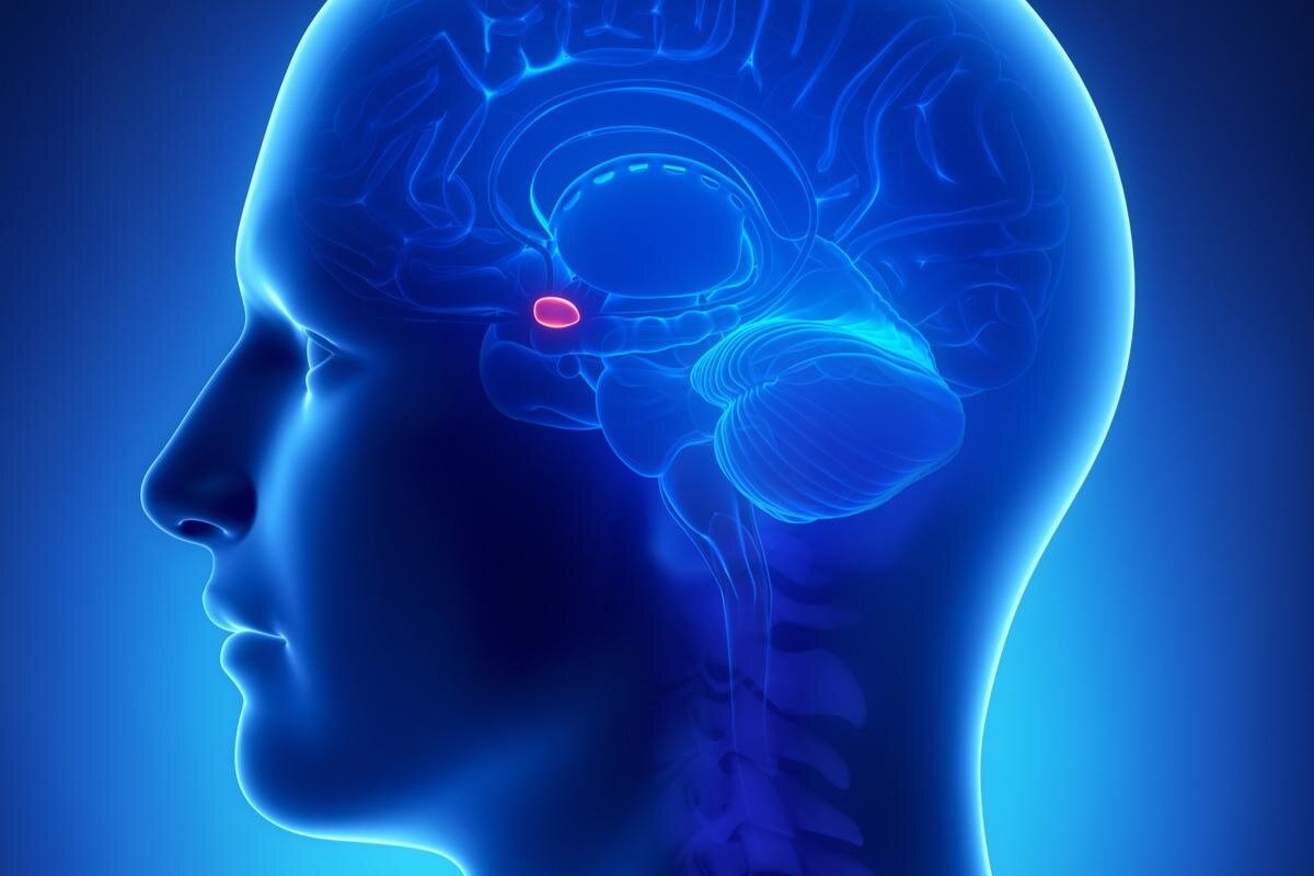 Фото предоставлено: CLIPAREA l Custom media/Shutterstock.com