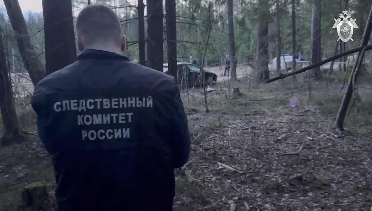 Фото: скрин-шот оперативного видео СК Московской области