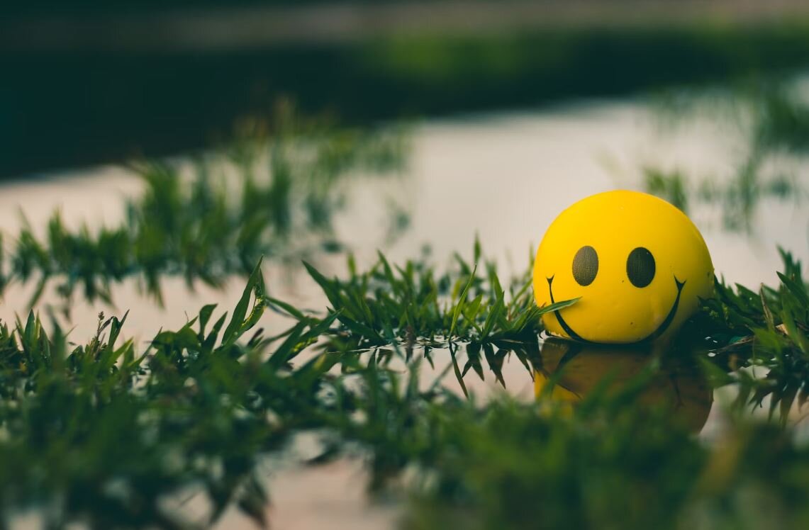 Источник фото: https://unsplash.com/photos/a-yellow-ball-with-a-smiley-face-sitting-in-the-grass-ABUWC-0a7_A