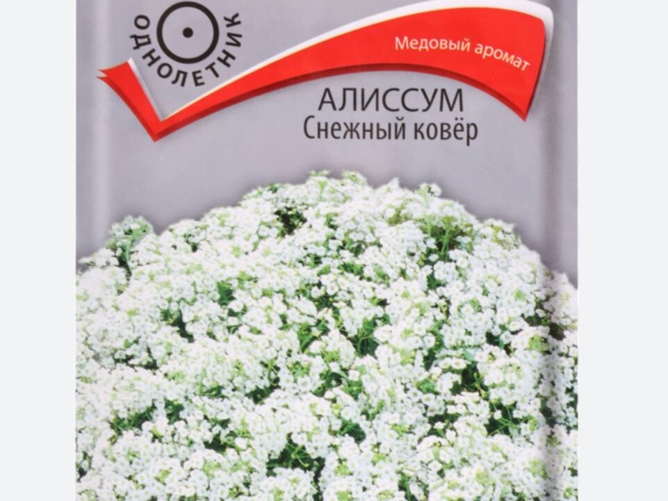 Семена Алиссума 45р