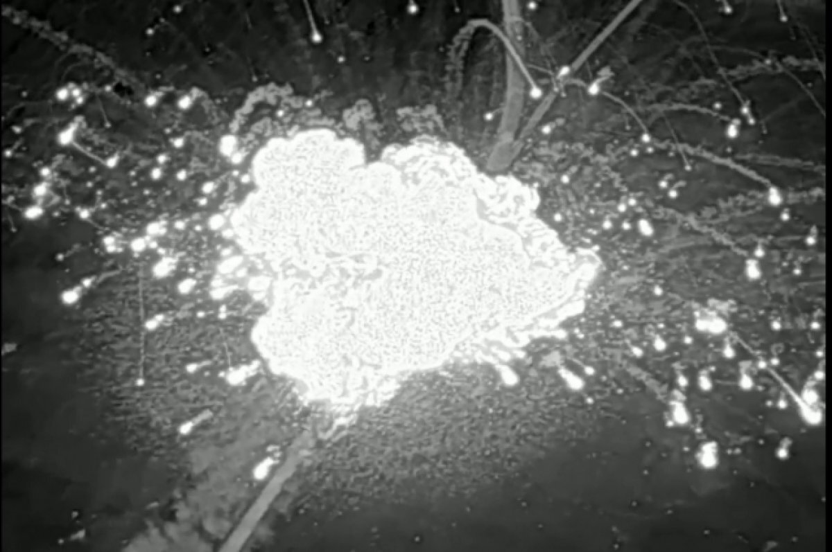    The Economist: ВС РФ уничтожили американские ЗРК Patriot на Украине