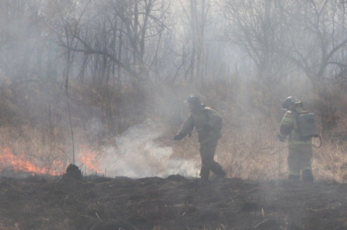    Потушен масштабный лесной пожар по соседству с Хабаровским краем