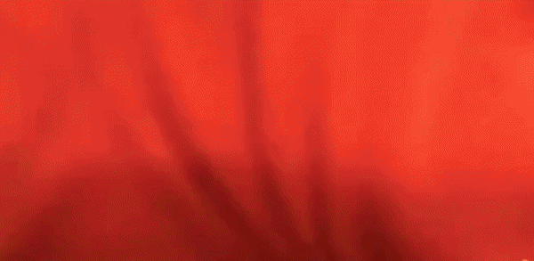    ЭТОТ БЕСОВСКОЙ ШАБАШ БЫЛ УСТРОЕН В ЦЕНТРЕ, ЯВЛЯЮЩЕМСЯ СРЕДОТОЧИЕМ ТЫСЯЧЕЛЕТНЕЙ РУССКОЙ СВЯТОСТИ. GIF ИЗ ШОУ /ВИДЕО ТГ-КАНАЛА "ЦАРЬГРАД"