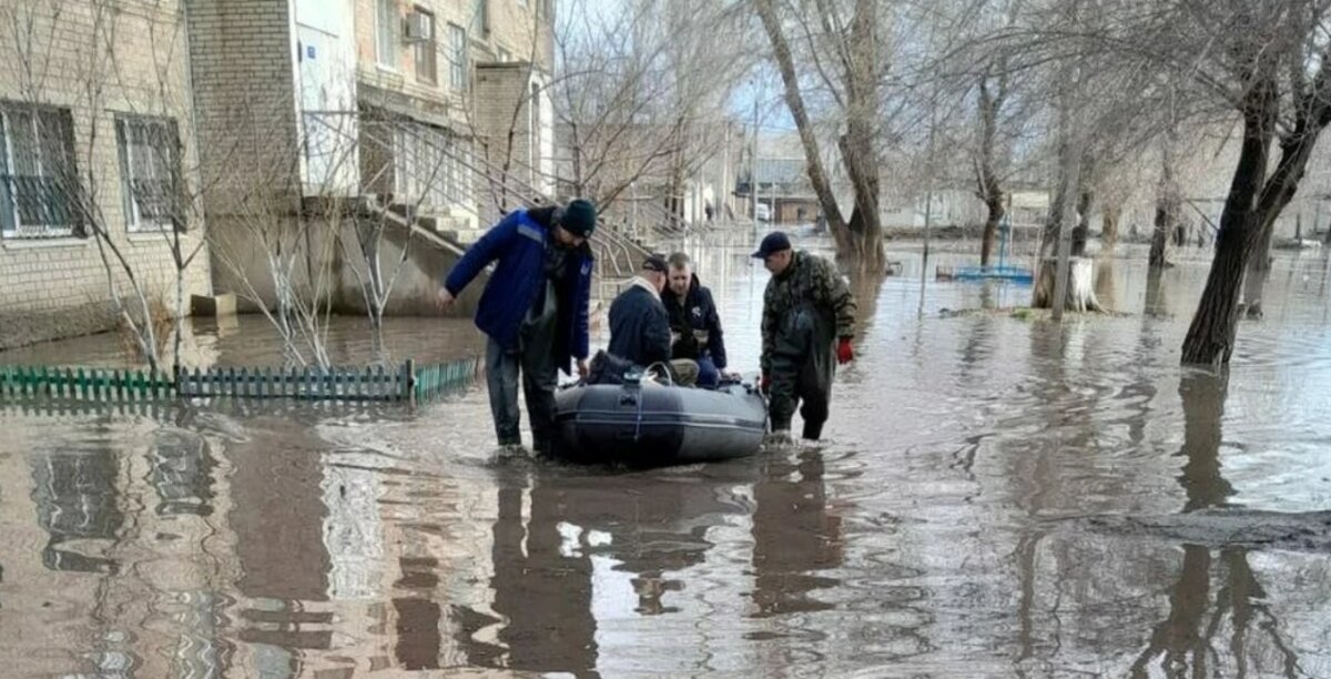 https://s09.stc.yc.kpcdn.net/share/i/beige/d32185d81f44e6c9711cb901dab7b7fd/wr-1280.webp