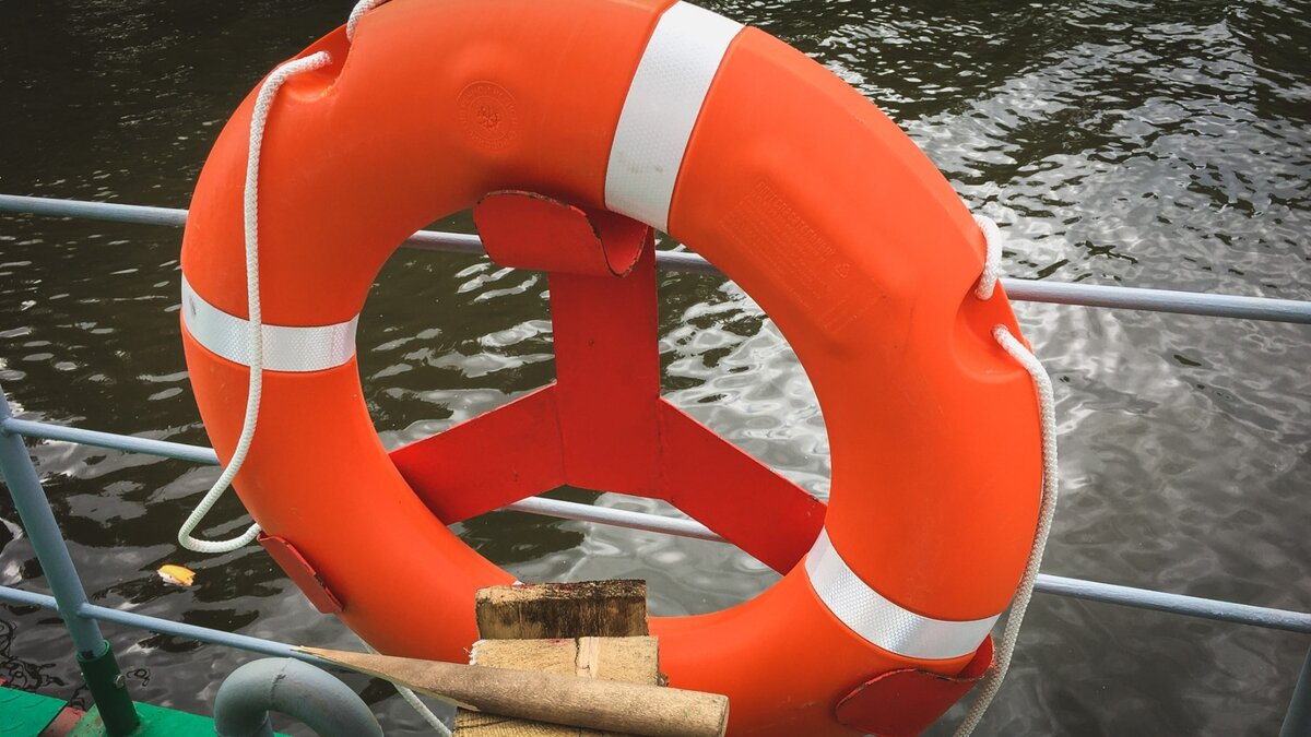     В Приморье спасли еще одного тюлененка по имени Эрвин. Его нашли в Южно-Морском, и после оказания первой помощи доставили в реабилитационный центр.