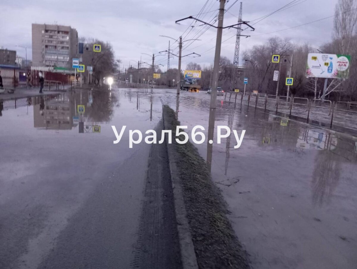 Елшанка вышла из берегов. Елшанка вышла из берегов