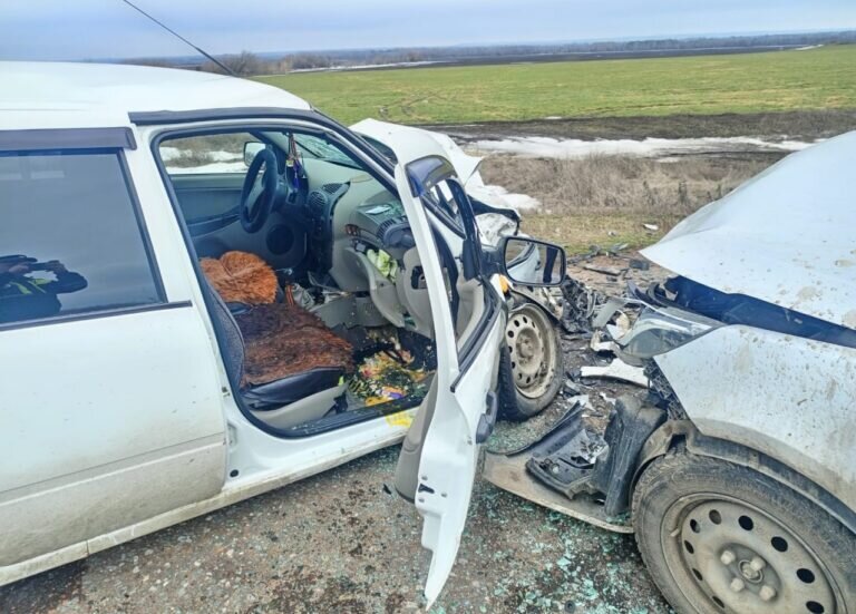    В Бузулукском районе в ДТП пострадали три человека, в том числе 13-летний подросток Кристина Просвиркина