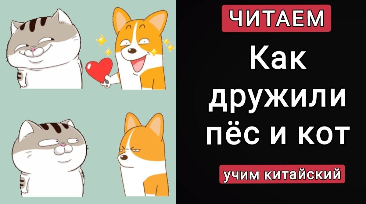 www.mhsk.ru