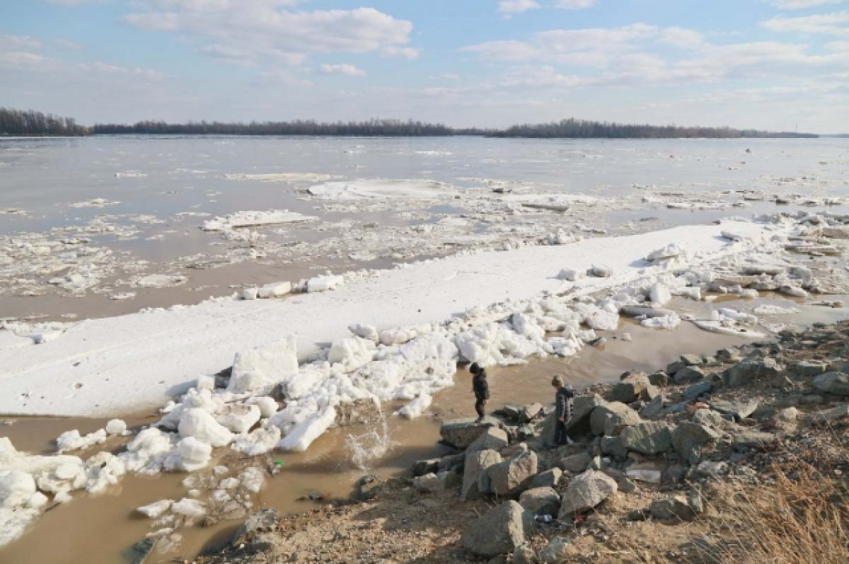 Уровень воды в Оби в Барнауле за сутки повысился на 45 см | АиФ–Барнаул |  Дзен