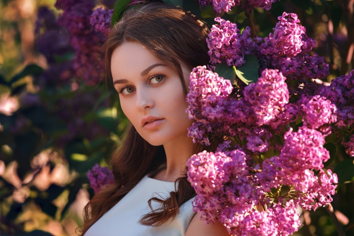 Яндекс картинки