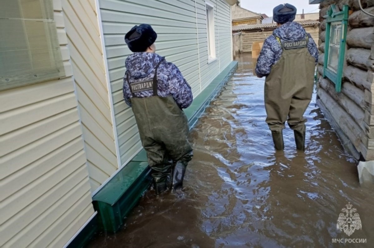    Более 140 домов и 450 приусадебных участков остаются подтопленными на Алтае