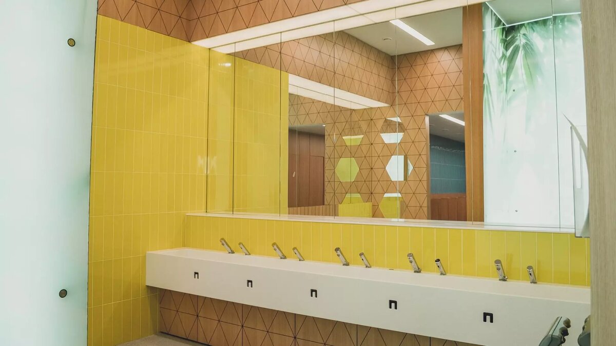     В селе Миасское под Челябинском ученицы девятого класса местной школы № 1 обнаружили в туалете мобильный телефон, на который велась съемка — все обернулось скандалом и угрозами со стороны директора, сообщает издание 74.RU.