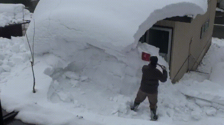 Из открытых источников.