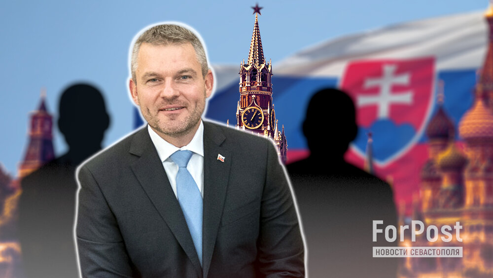 Фото: Арина Розанова | коллаж ForPost