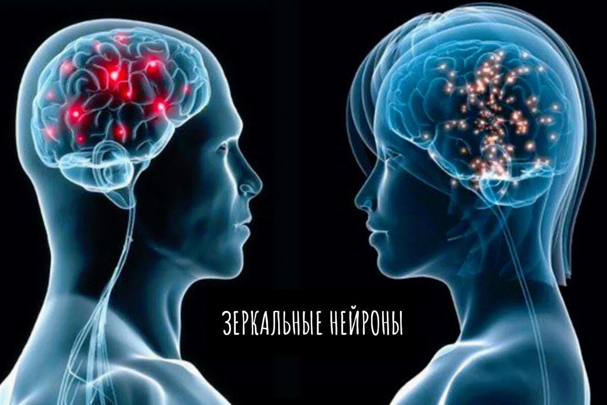 Психолог: За каждое действие или воспоминание отвечают разные участки нашего мозга.