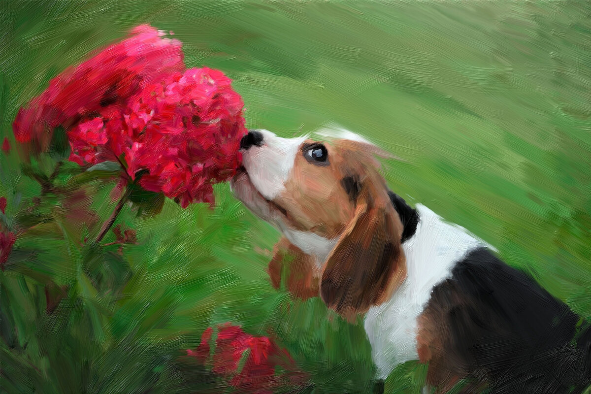 AKVIS OilPaint: Создание картины маслом из фотографии