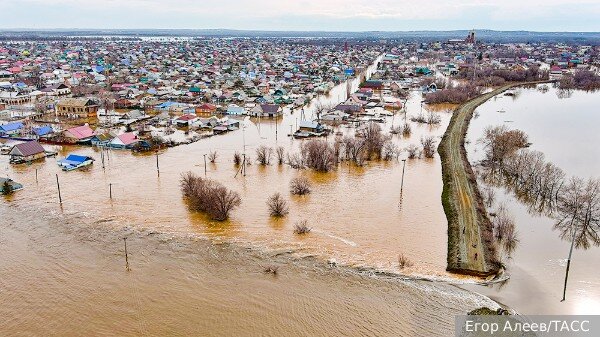     Фото: Егор Алеев/ТАСС   
 Текст: Денис Тельманов