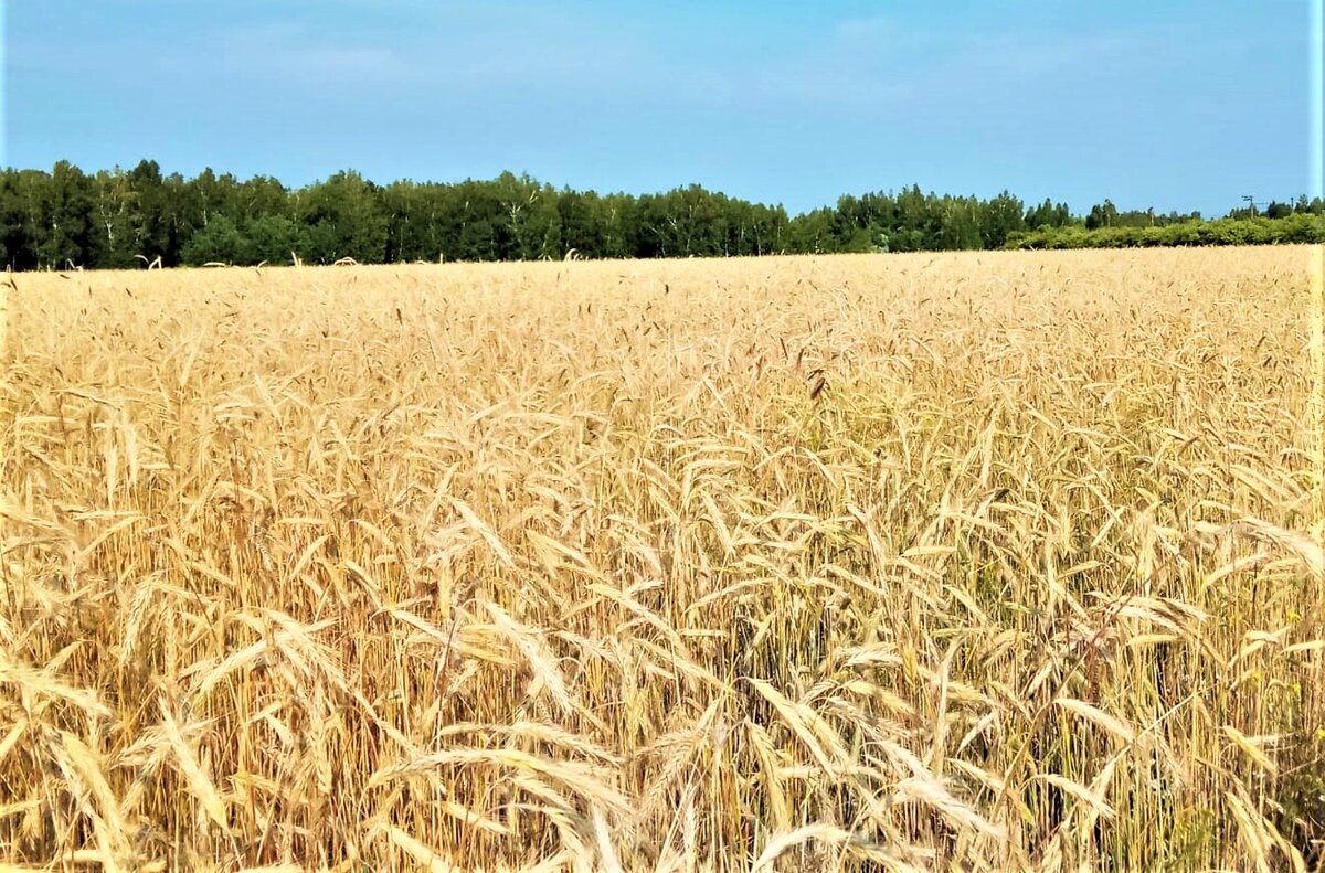Фото Евгения Карабанова