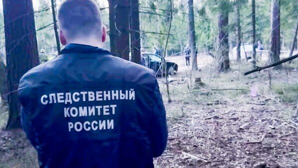     Фото: Скриншот из видео/СК РФ   
 Текст: Ольга Никитина