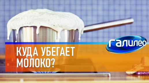 Галилео 🥛 Куда убегает молоко?