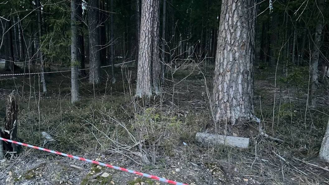   ФОТО: ПРОКУРАТУРА МОСКОВСКОЙ ОБЛАСТИ