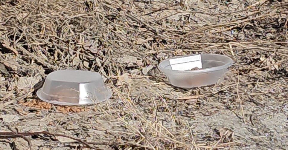  Видео сняла женщина прохожая. Она не могла взять кошку, кошка шипела и не подпускала никого ни к себе, ни к котёнку. Было понятно, что животные оказались здесь впервые. И они не знают что им делать!-4