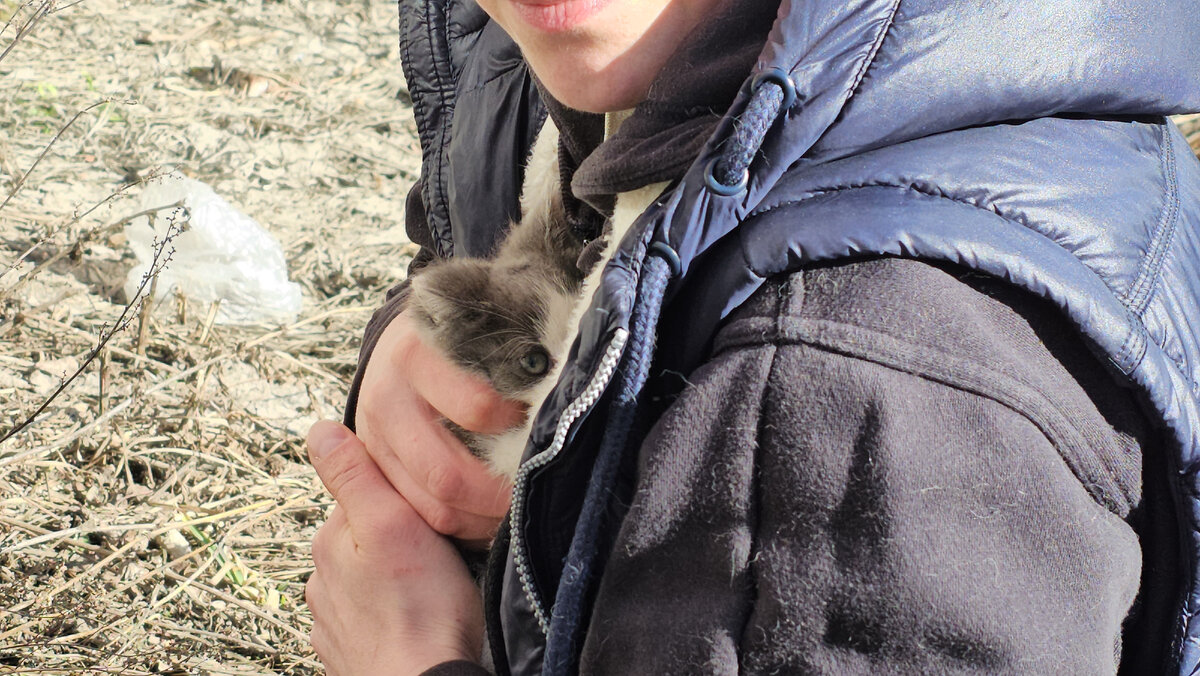  Видео сняла женщина прохожая. Она не могла взять кошку, кошка шипела и не подпускала никого ни к себе, ни к котёнку. Было понятно, что животные оказались здесь впервые. И они не знают что им делать!-11