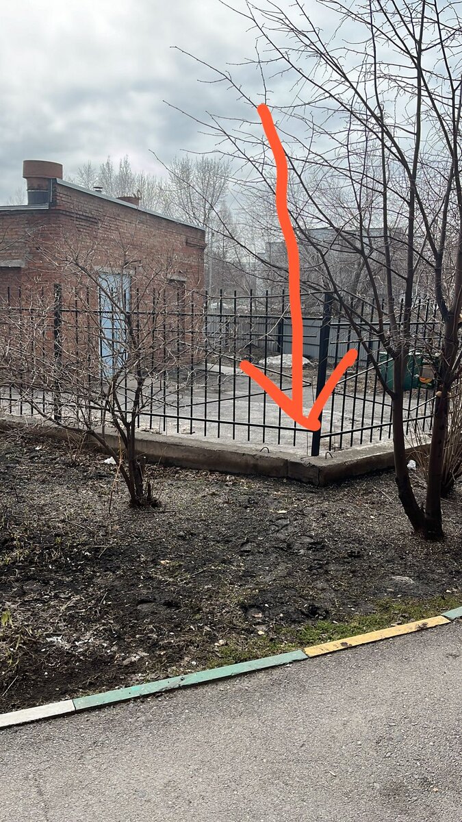  Видео сняла женщина прохожая. Она не могла взять кошку, кошка шипела и не подпускала никого ни к себе, ни к котёнку. Было понятно, что животные оказались здесь впервые. И они не знают что им делать!-18