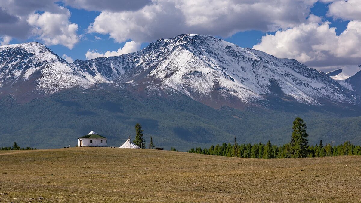 "Дом в Курайской степи"