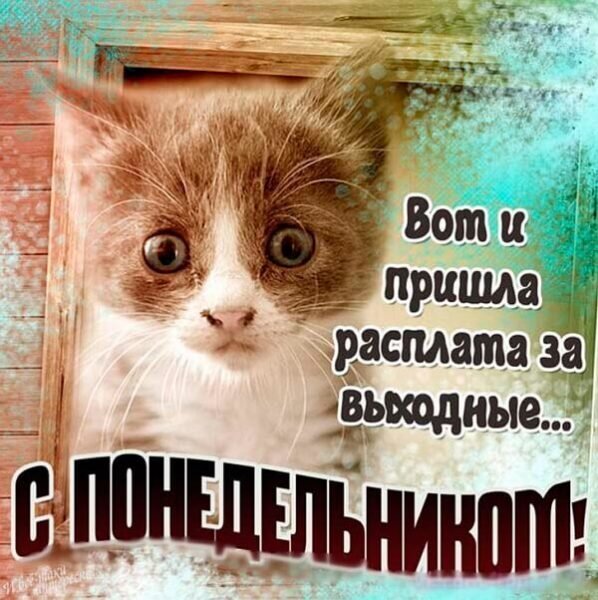Картинка из Интернета 