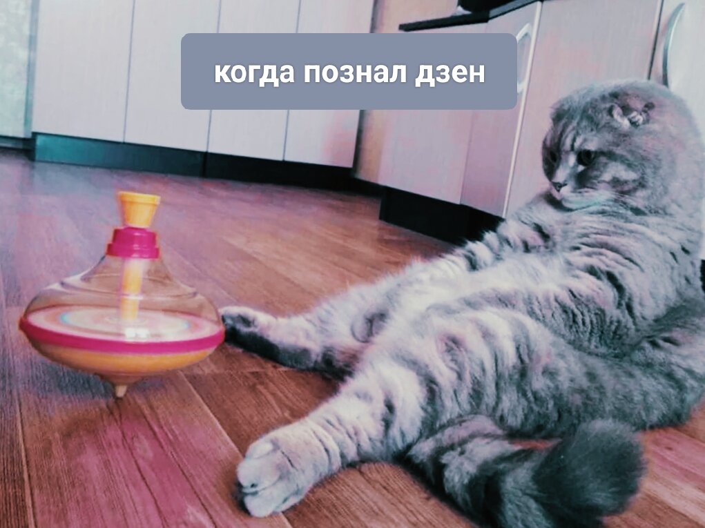 я так и не познала его 😁