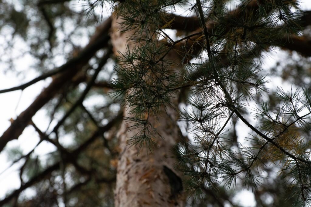    Фото: Майко Елизавета / Media4Media Наталья Савченко