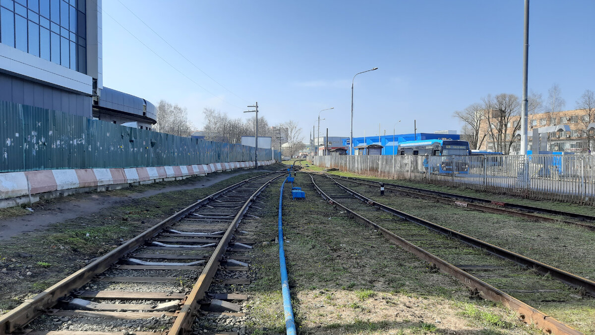 МОСКОВСКАЯ ФЛОРА. ПОЕЗДКА ЩЕРБИНКА - ТОЛСТОПАЛЬЦЕВО - ПЛАНЕРНАЯ ВСЕМИ  НОВЫМИ АВТОБУСАМИ. ЧАСТЬ 1 | Московский Компас | Дзен