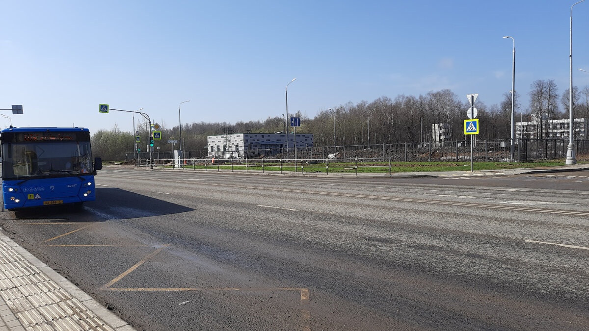 МОСКОВСКАЯ ФЛОРА. ПОЕЗДКА ЩЕРБИНКА - ТОЛСТОПАЛЬЦЕВО - ПЛАНЕРНАЯ ВСЕМИ  НОВЫМИ АВТОБУСАМИ. ЧАСТЬ 1 | Московский Компас | Дзен