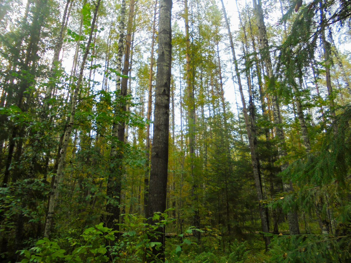 Фото из личного архива автора