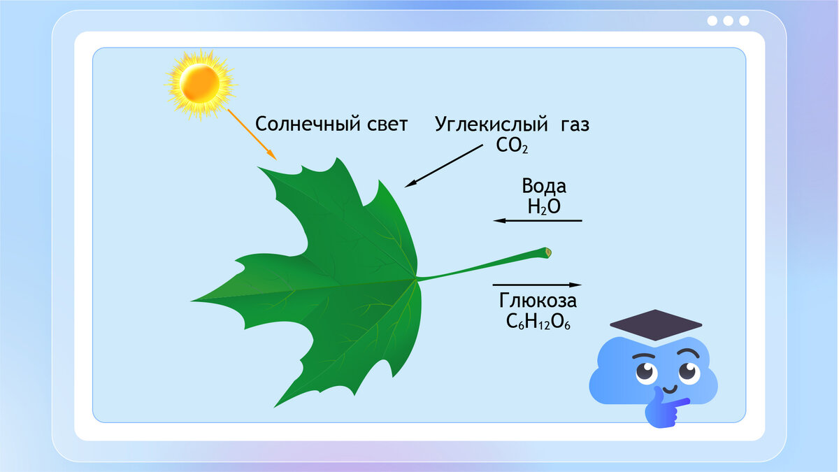 Как в движении заводной игрушки участвуют фотосинтез и термоядерные реакции  на Солнце? | Облако знаний | Дзен