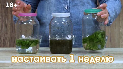 Мятная настойка на самогоне. Самый простой рецепт. Какая мята лучше: ментоловая, перечная или сухая?