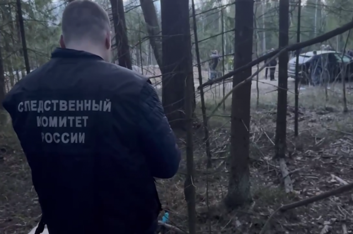    Кадр оперативного видео СК России.