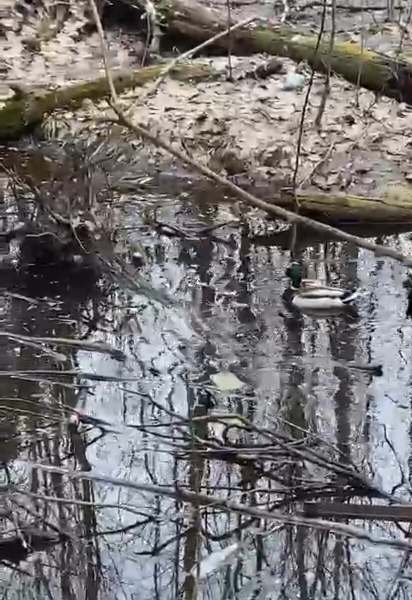 Там же. 