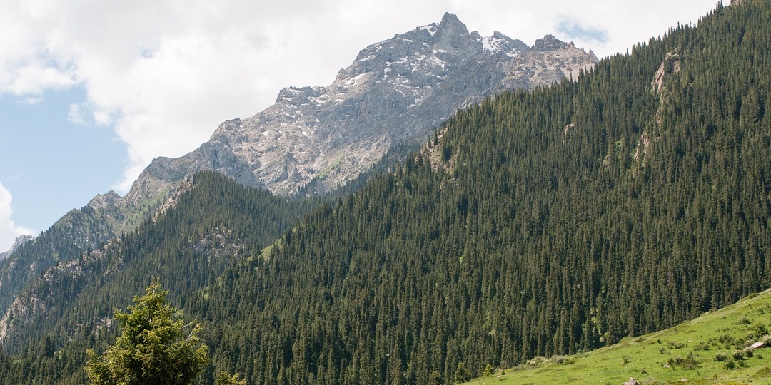 Гражданство Киргизии для русских: преимущества и перспективы
