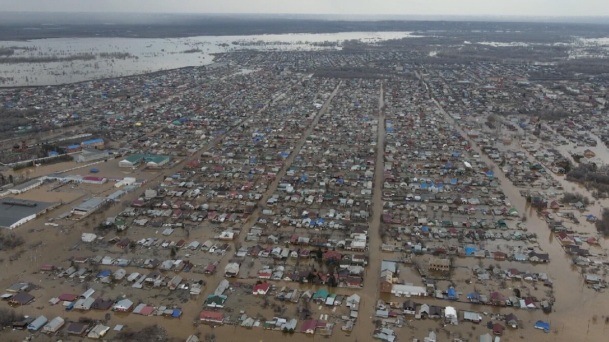 Фото — dzen.ru