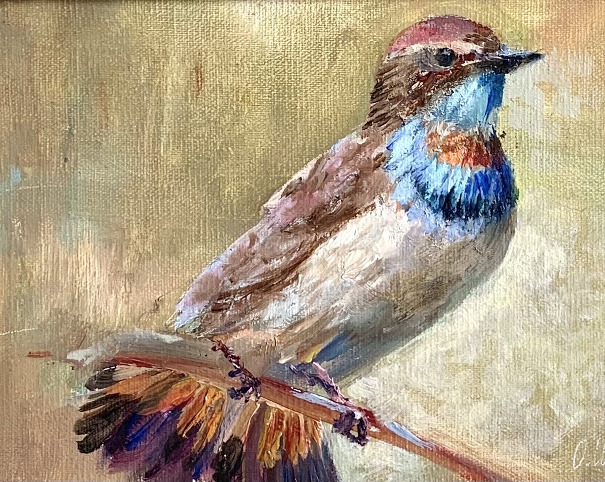 Ольга Шипилина, Варакушка