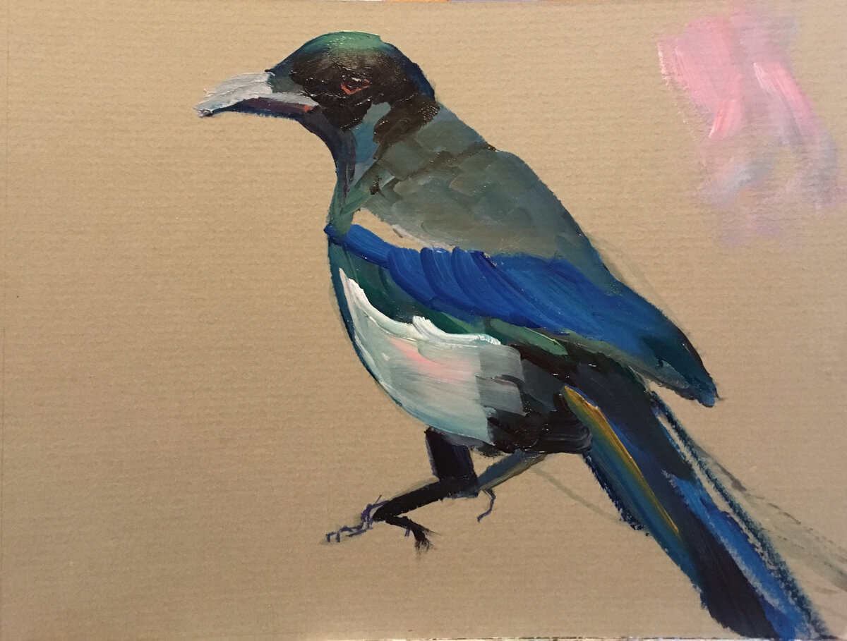 Ольга Шипилина, Сорока-белобока