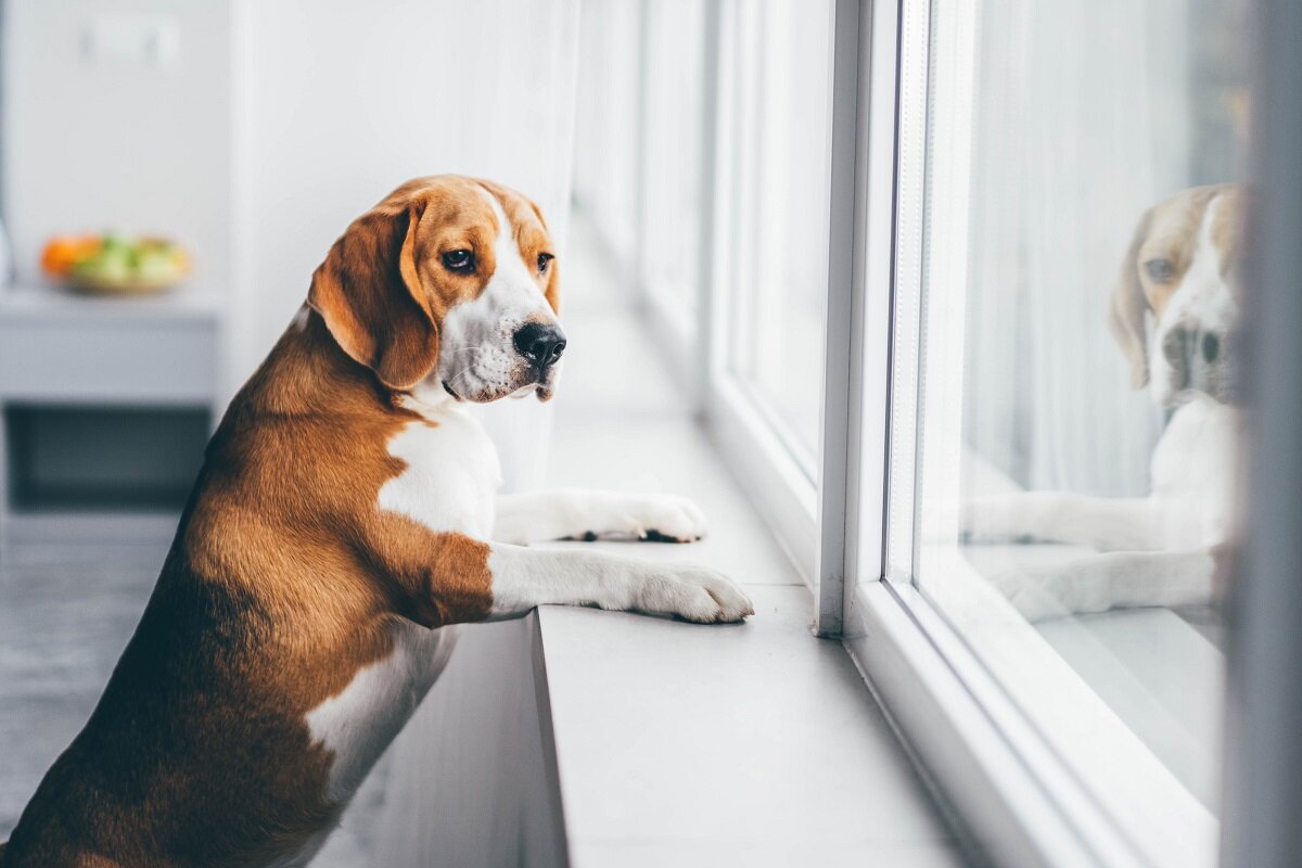    Фото: shutterstock.com
