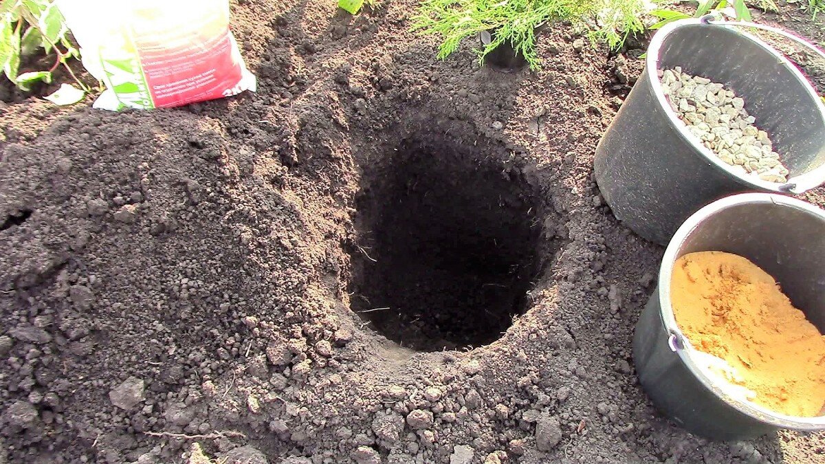    Всё готово к посадке можжевельника