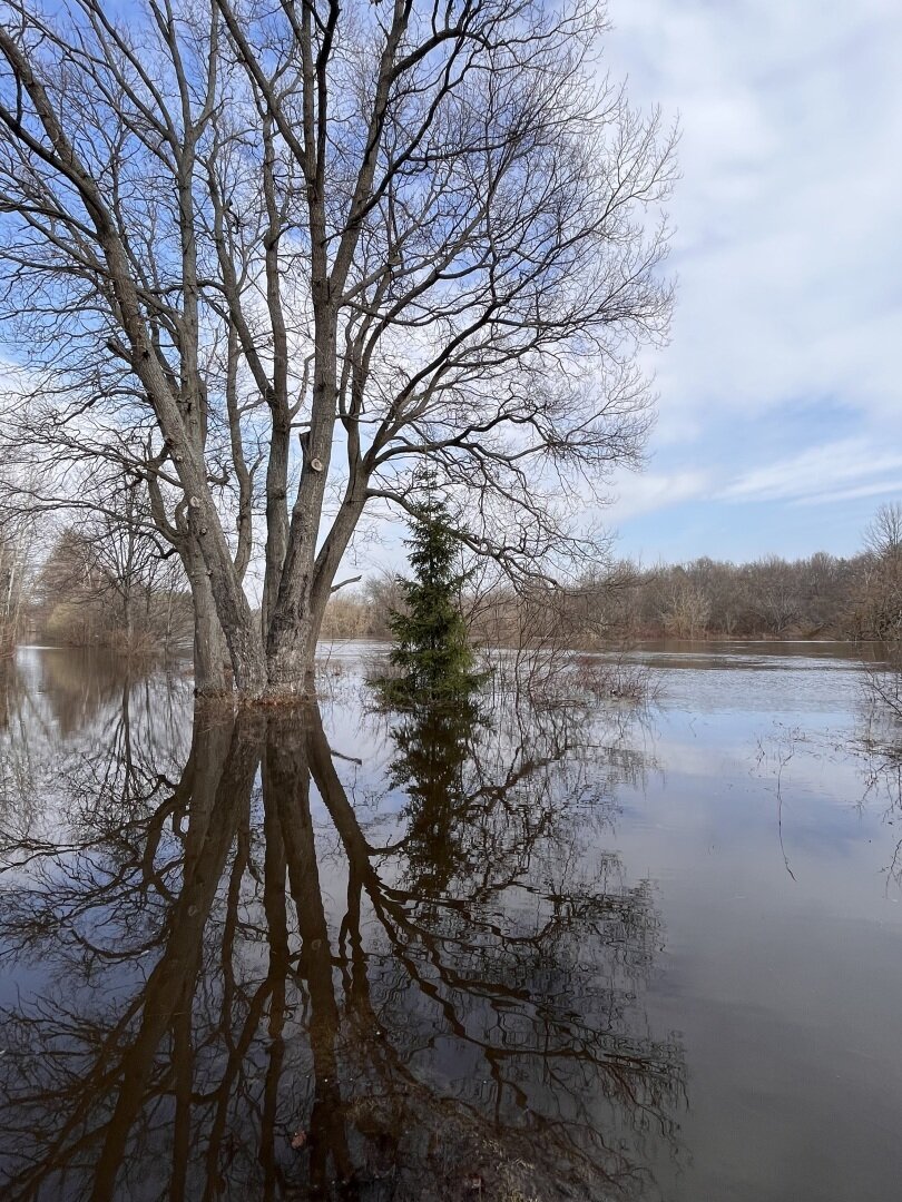 Весенний разлив реки Клязьмы