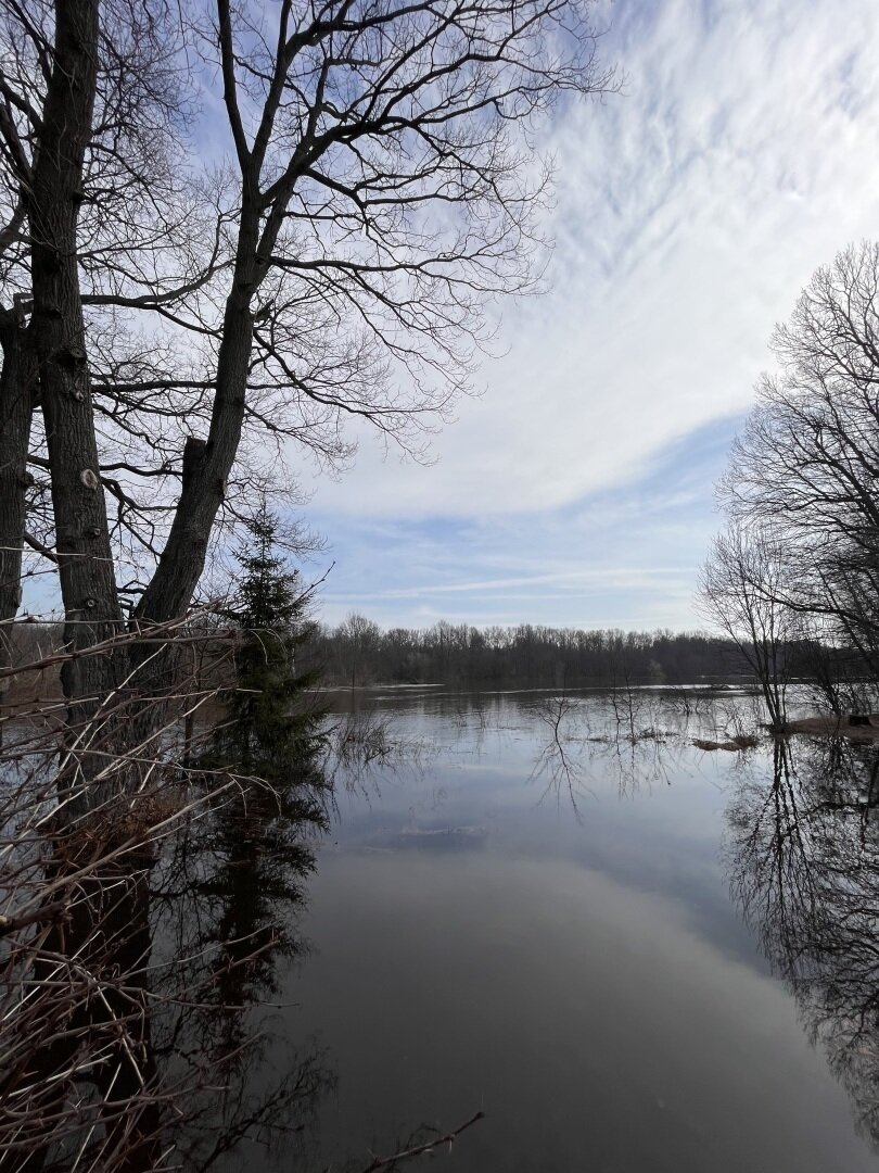 Весеннее половодье